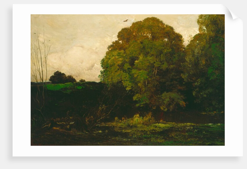 A Pond in the Morvan, 1869 by Charles Francois Daubigny