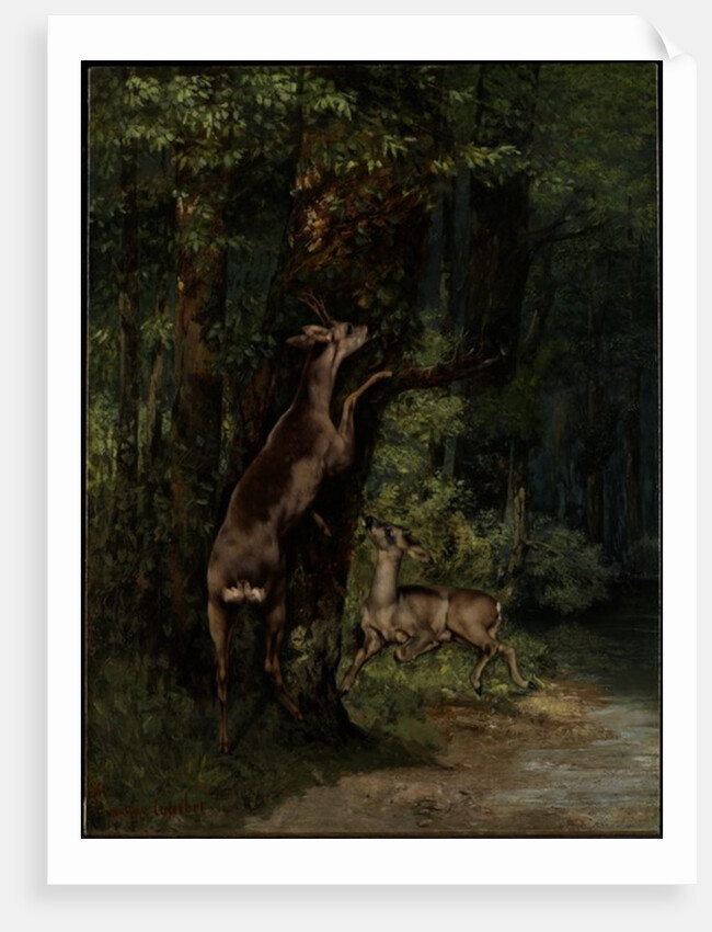 Deer in the Forest, 1868 by Gustave Courbet