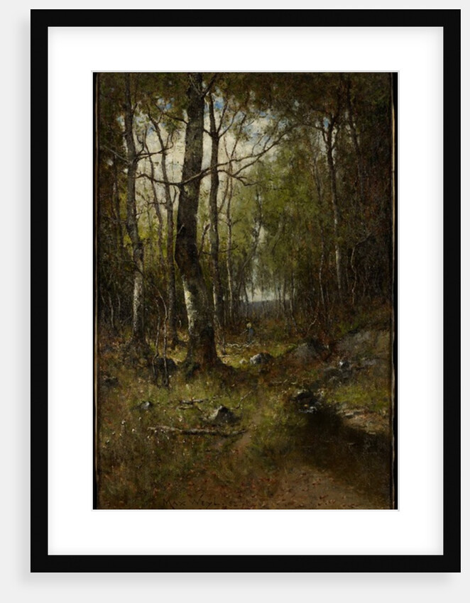 Temple Woods, 1882 by Max Weyl