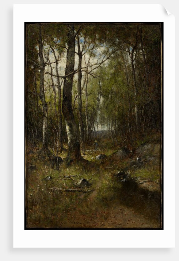 Temple Woods, 1882 by Max Weyl