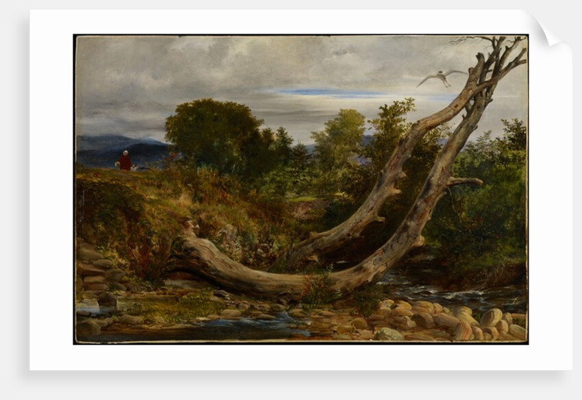 The Heron Disturbed, c.1850 by Richard Redgrave