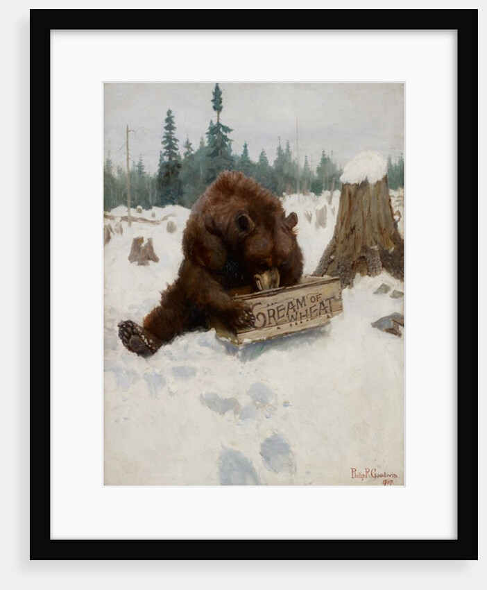 A 'Bear' Chance, 1907 by Philip Russell Goodwin