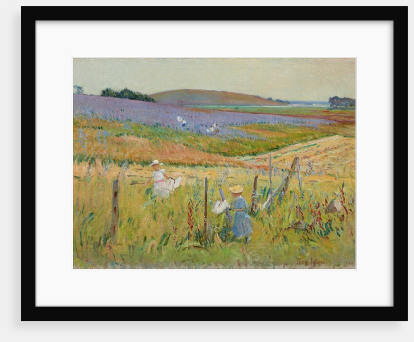 The Butterfly Catchers, 1900-8 by Theodore Wendel