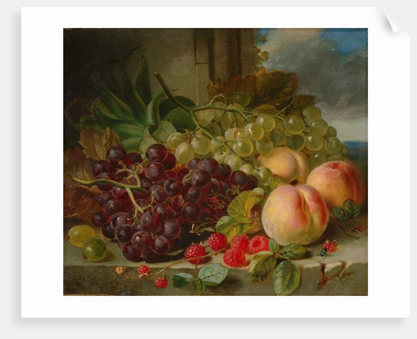Still Life with Fruit, 1862 by John Wainewright