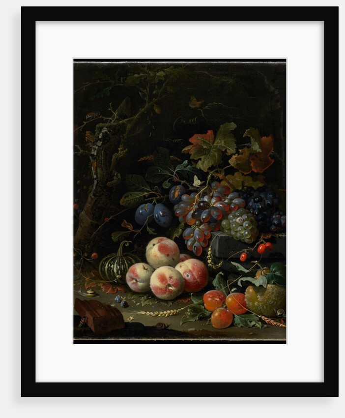 Still Life with Fruit, Foliage and Insects, c.1669 by Abraham Mignon