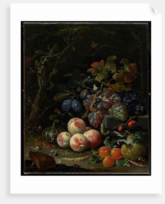 Still Life with Fruit, Foliage and Insects, c.1669 by Abraham Mignon