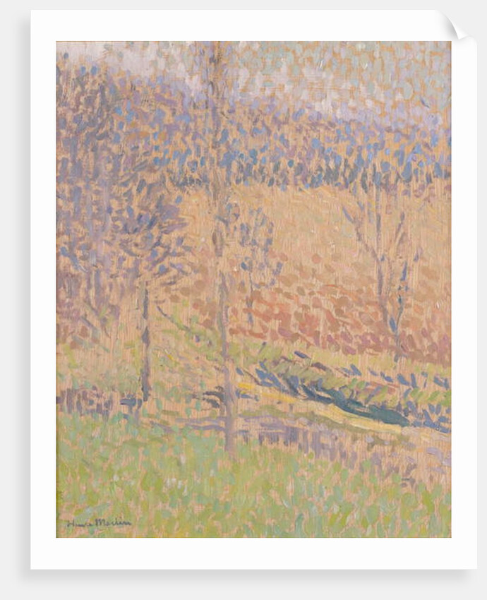In the Mist, c.1890-1910 by Henri Jean Guillaume Martin