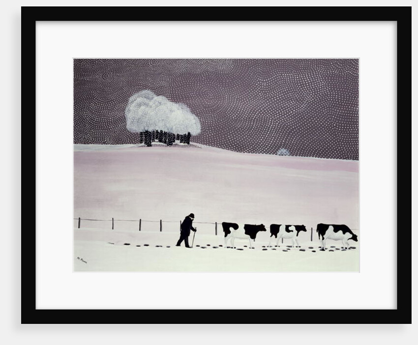Cows in a snowstorm by Maggie Rowe