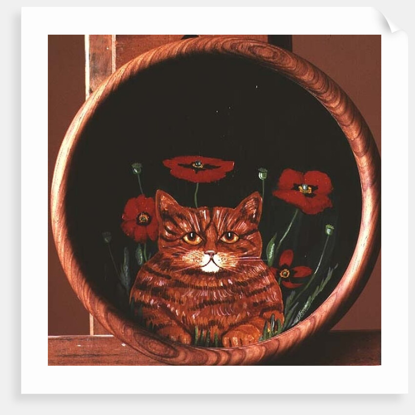 Cat and Poppies by Maggie Rowe
