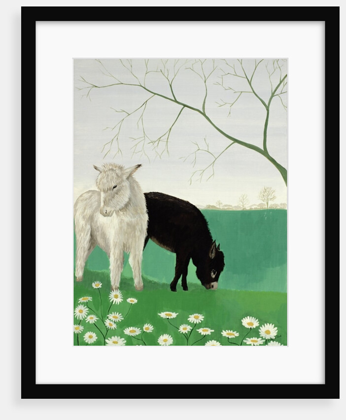 Donkeys and Daisies by Maggie Rowe