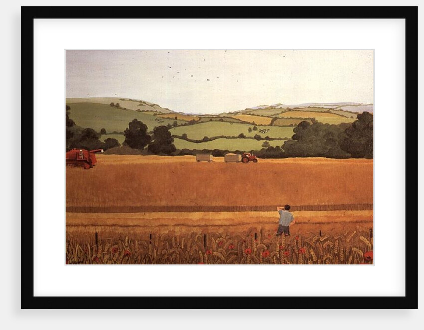 Harvesting in the Cotswolds by Maggie Rowe