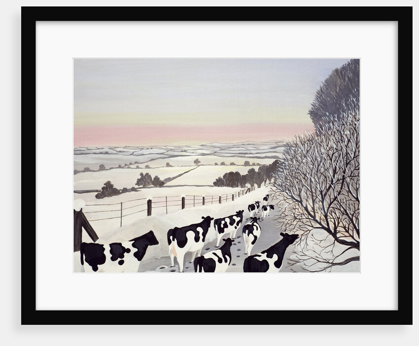 Friesians in Winter by Maggie Rowe