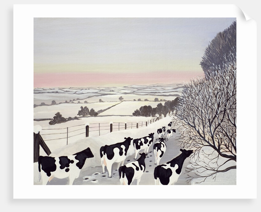 Friesians in Winter by Maggie Rowe