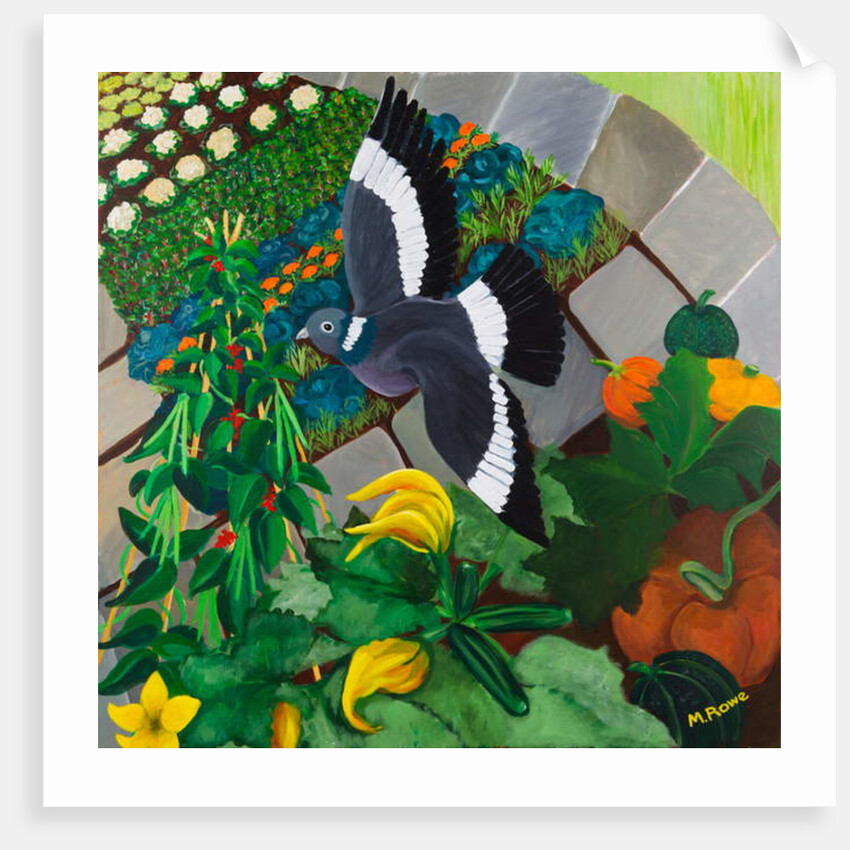 Veggie Garden, 2013 by Maggie Rowe