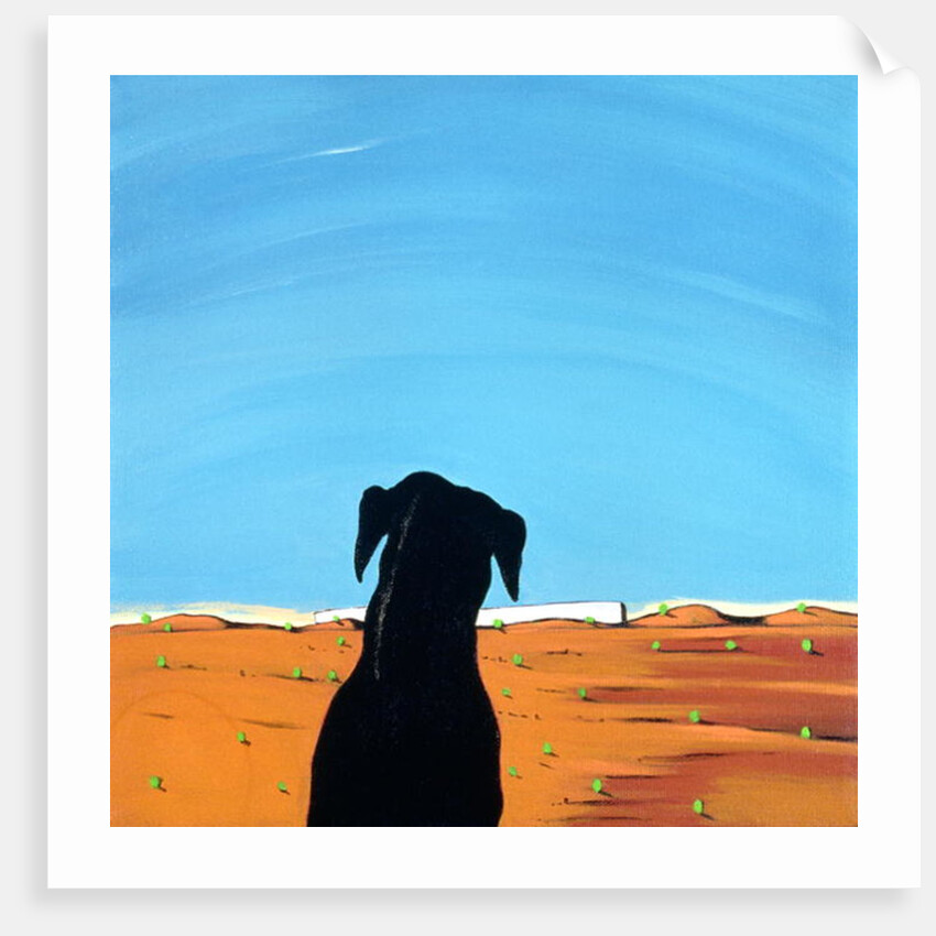 Black Dog in Chestertown, 1998 by Marjorie Weiss