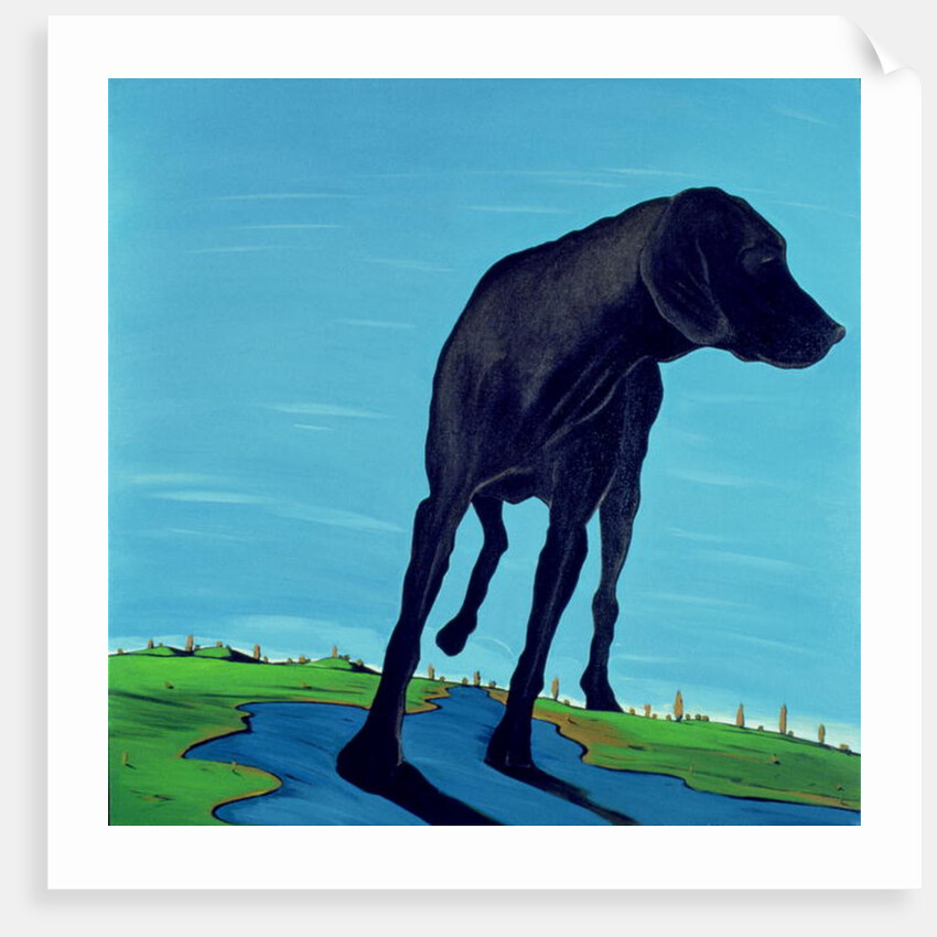 Joe's Black Dog, 2000 by Marjorie Weiss