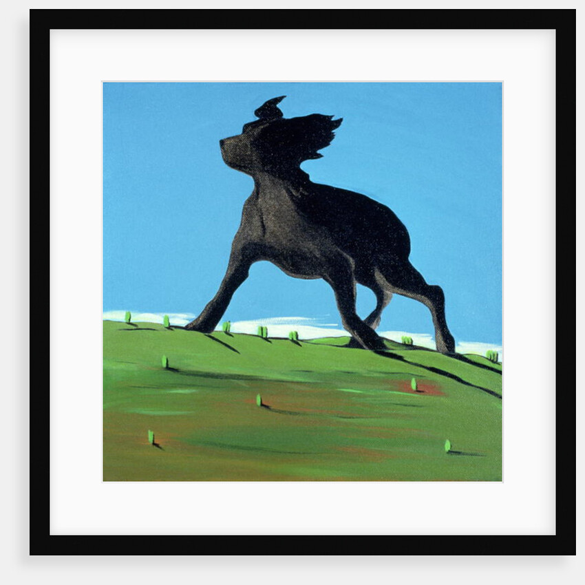 Amazing Black Dog, 2000 by Marjorie Weiss
