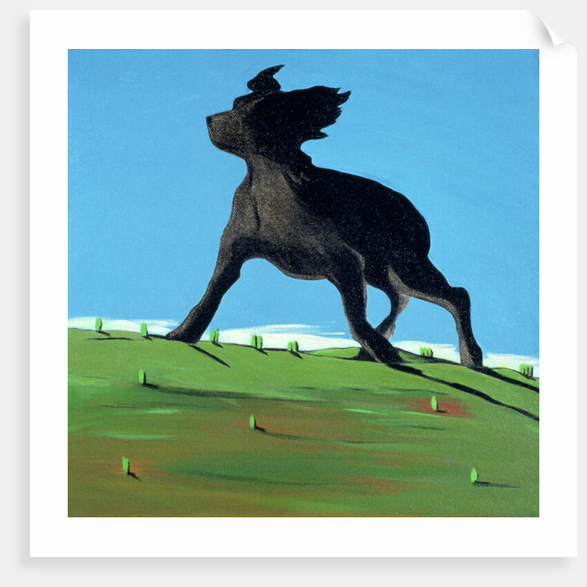 Amazing Black Dog, 2000 by Marjorie Weiss
