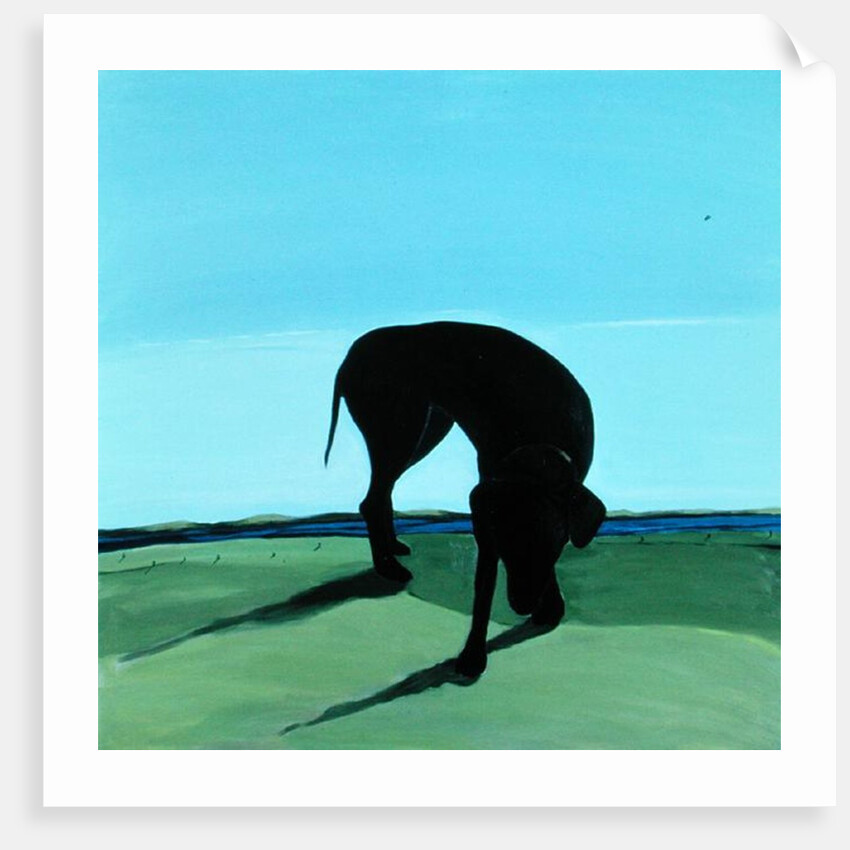 Joe's Black Dog, 1996 by Marjorie Weiss