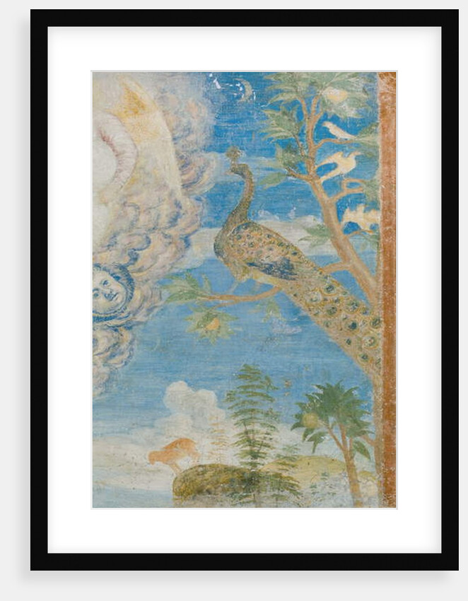 Peacock, detail of 3496206 by Italian School