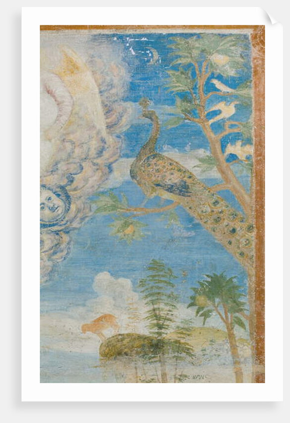 Peacock, detail of 3496206 by Italian School