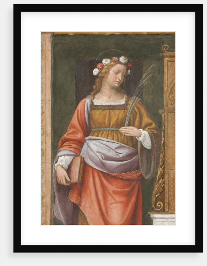 Saint Rose by Bernardino Luini