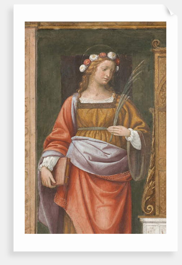 Saint Rose by Bernardino Luini