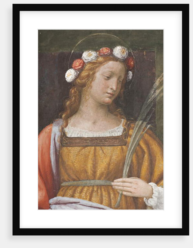 Saint Rose by Bernardino Luini