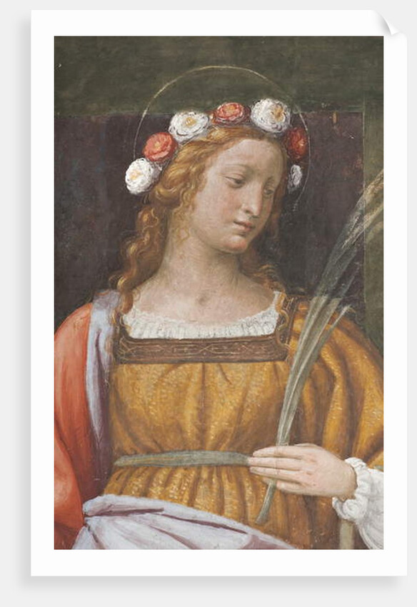 Saint Rose by Bernardino Luini