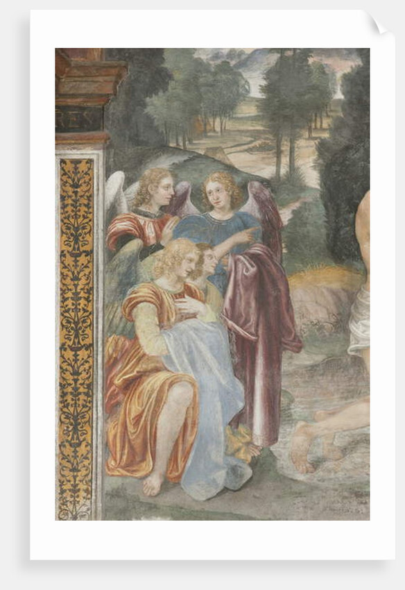 The baptism of Christ, detail of angels by Evangelista & Arcimboldi Giuseppe (1527-1593) Luini