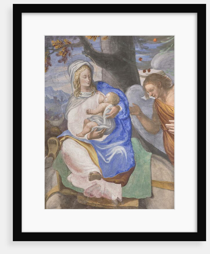 Scenes from the Virgin Mary's life by Michelangelo Carminati
