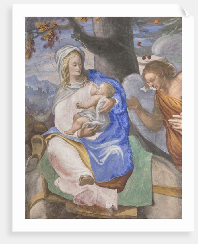 Scenes from the Virgin Mary's life by Michelangelo Carminati