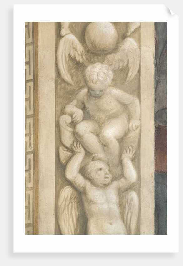 Putti, decorations around the windows by Lattanzio Gambara