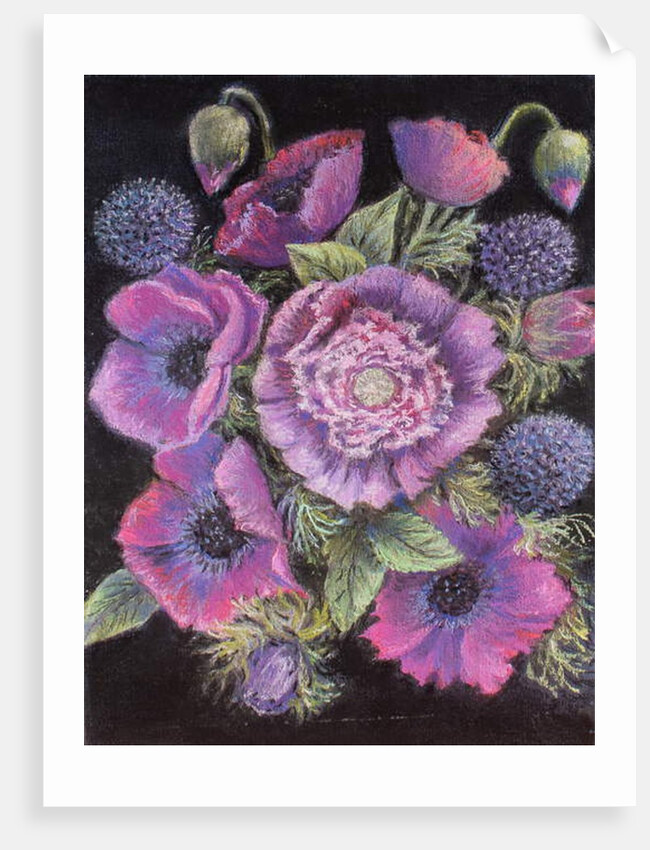 Anemones and thistles, 1998 by Margo Starkey