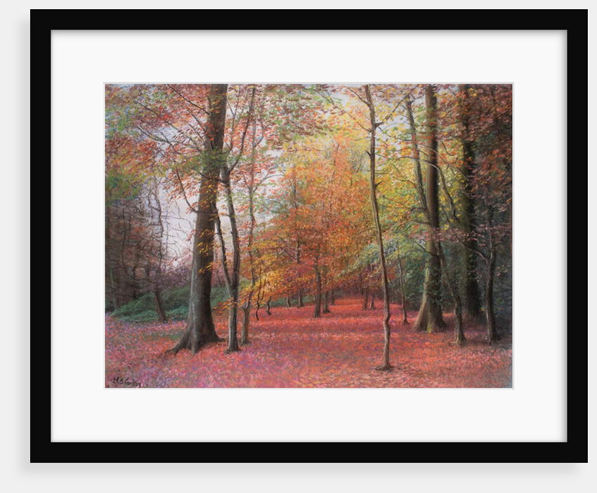 Autumn in the Woods, 1999 by Margo Starkey