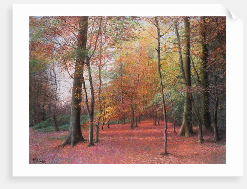 Autumn in the Woods, 1999 by Margo Starkey