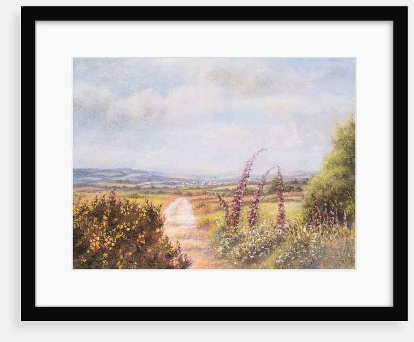 Foxgloves on Dartmoor, 2000 by Margo Starkey