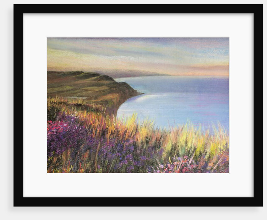 Dorset Coast by Margo Starkey