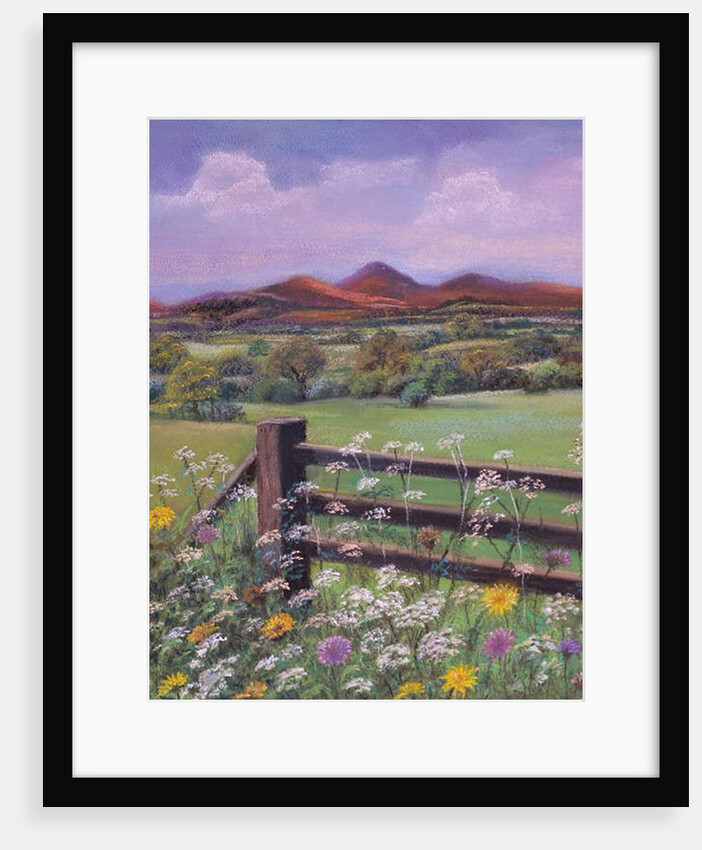 Summertime in the country by Margo Starkey