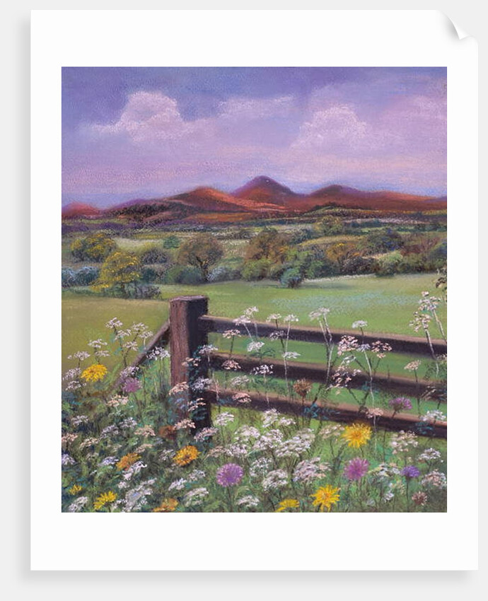 Summertime in the country by Margo Starkey