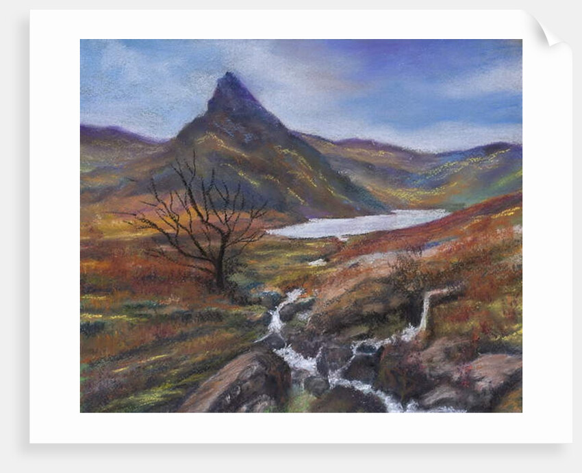 The Lake district by Margo Starkey