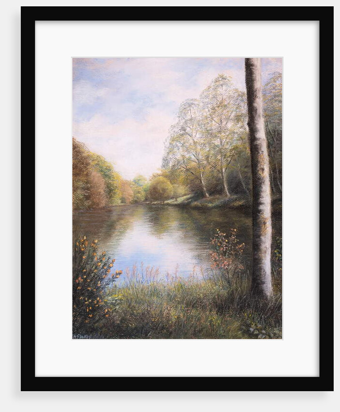 River Dart Devon by Margo Starkey