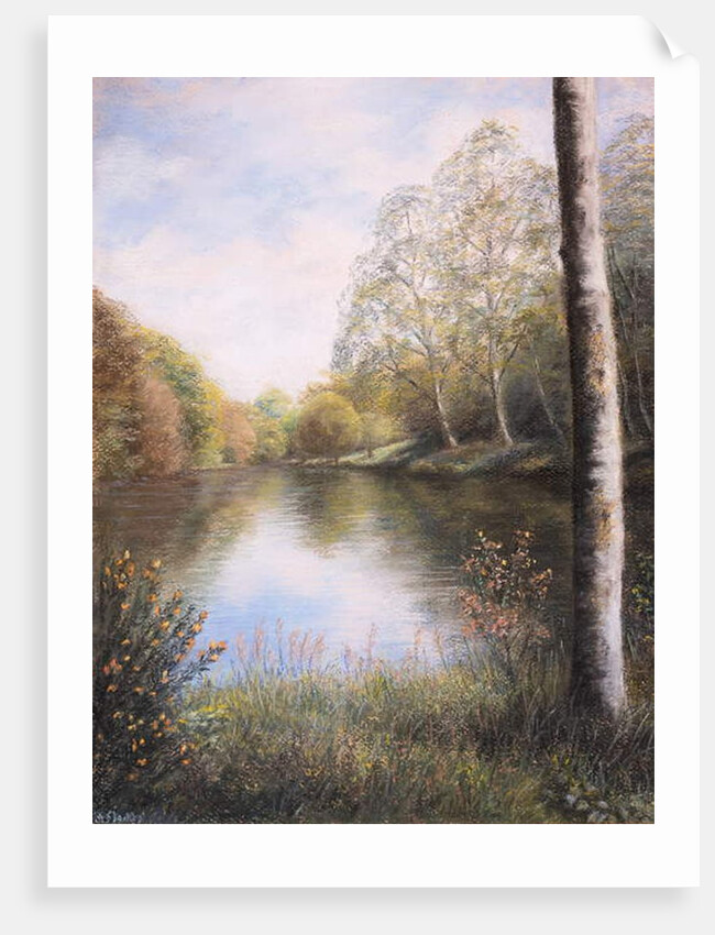 River Dart Devon by Margo Starkey