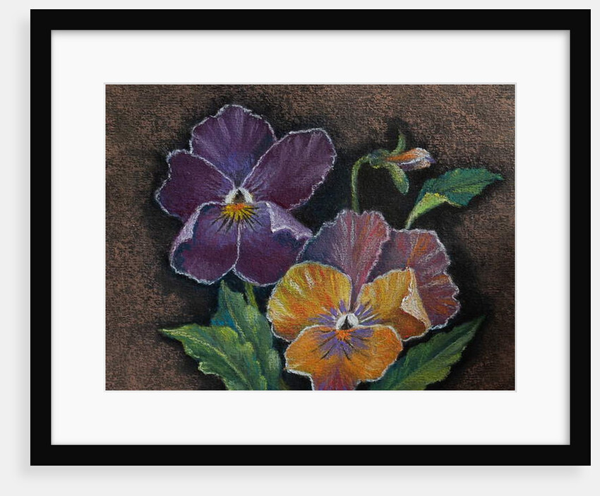 Three Pansies by Margo Starkey
