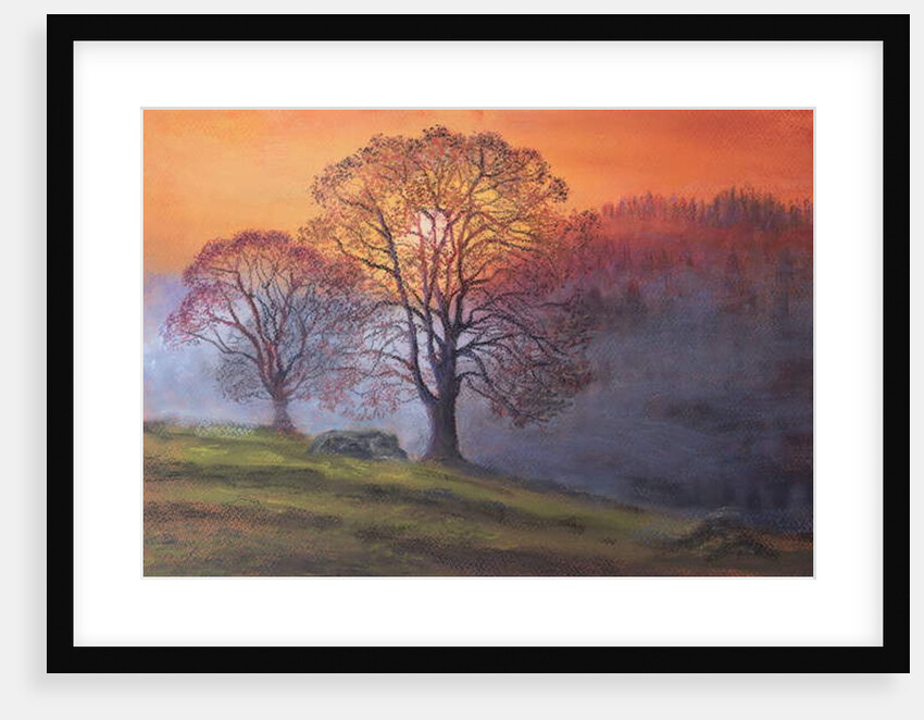 Autumn mists by Margo Starkey