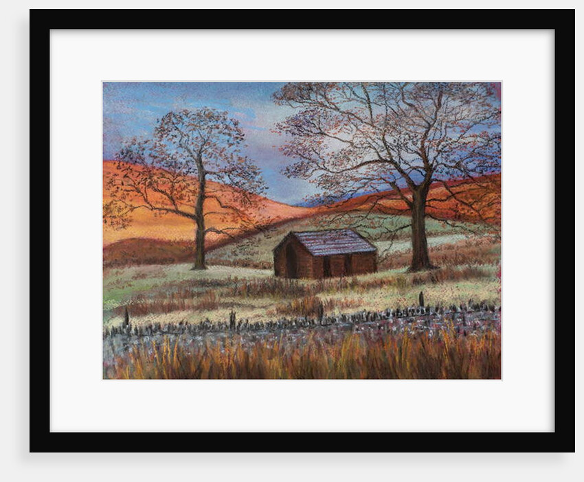 Shepherd's hut in wilds by Margo Starkey