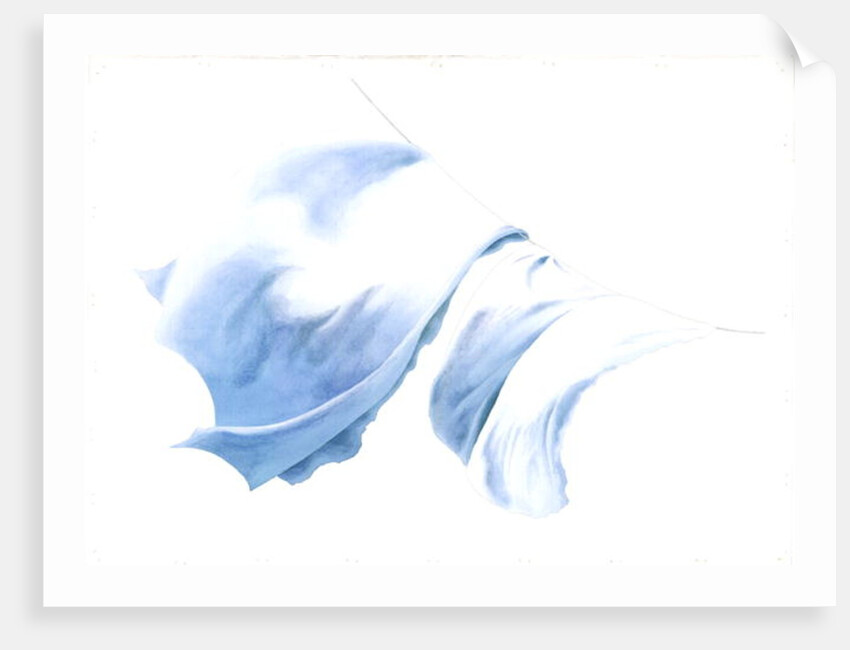 Sheet and Pillowcases in Tiree Wind, 2004 by Miles Thistlethwaite