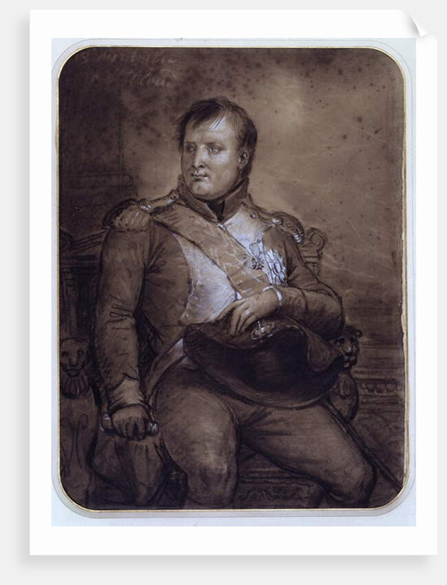 Napoleon I at Saint-Cloud, 1812 by Anne Louis Girodet de Roucy-Trioson