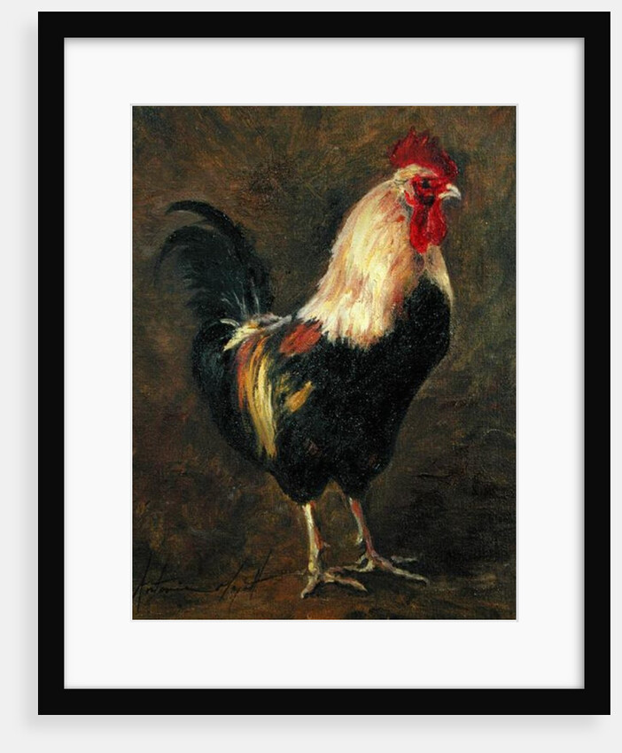 The Cockerel, 1999 by Antonia Myatt