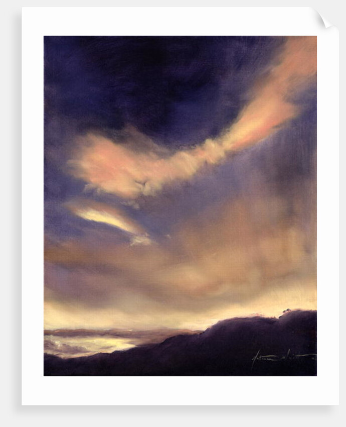 Butterfly Clouds, 2002 by Antonia Myatt